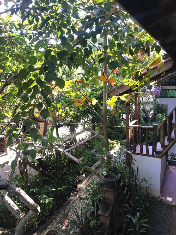 Papa Pippo Otres Village Sihanoukville Eksteriør billede